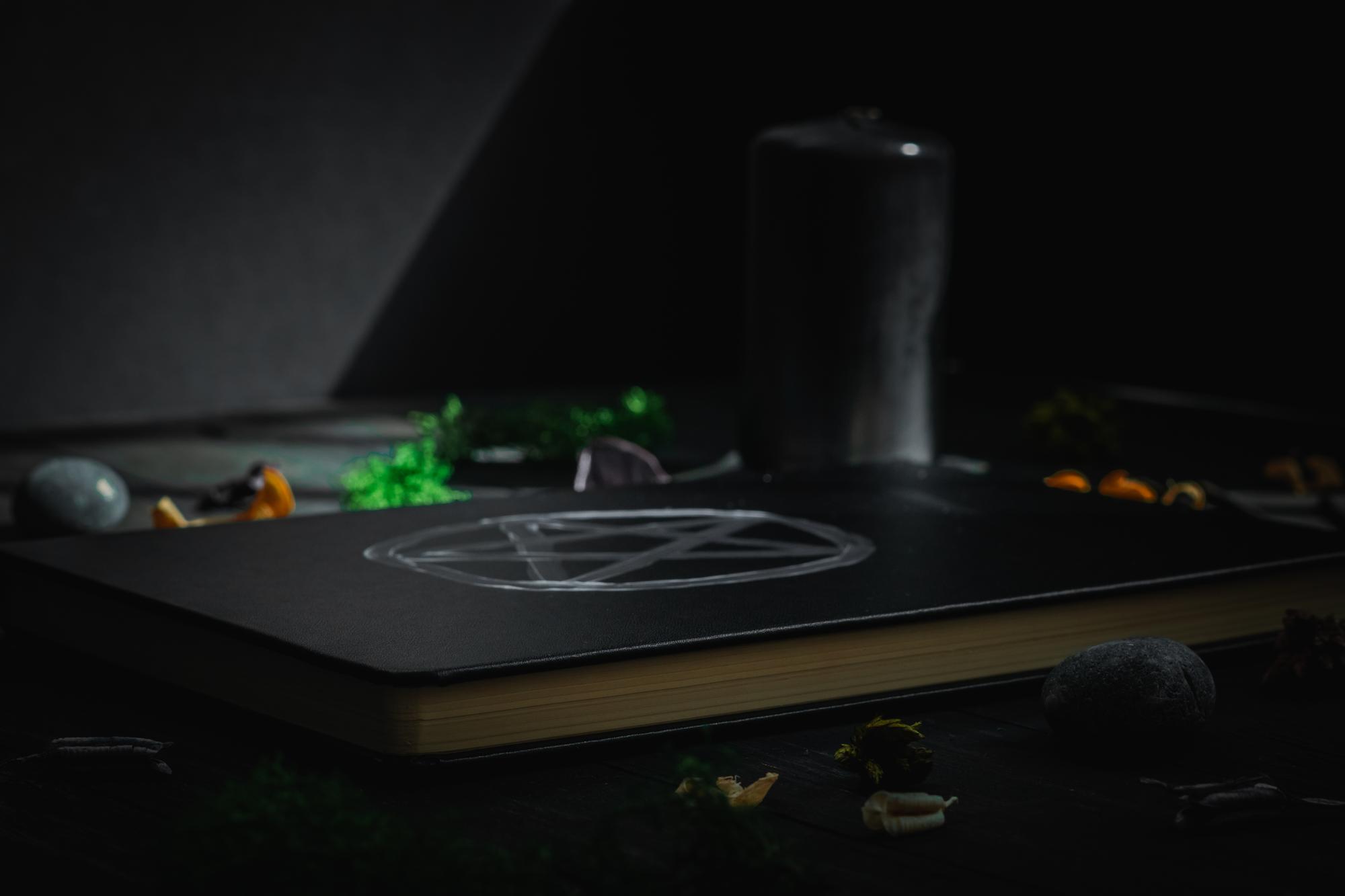 Editorial shot: plated tasting menu on dark table
